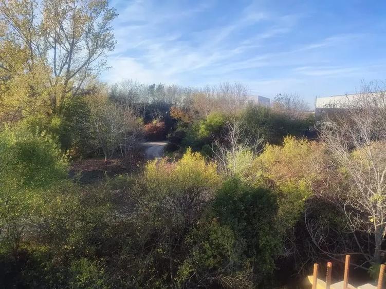 Casa 5 Camere Otopeni | Zona Linistita | Semicentral | Mansarda - 11