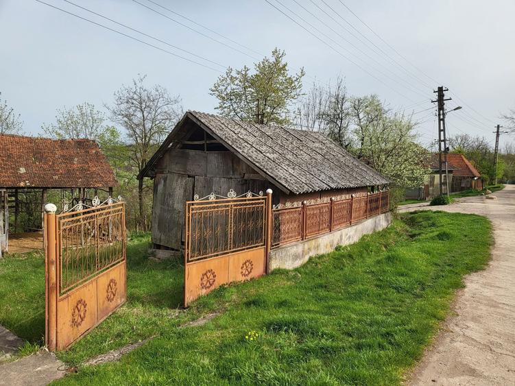 Casa la 18 km de Deva - 8