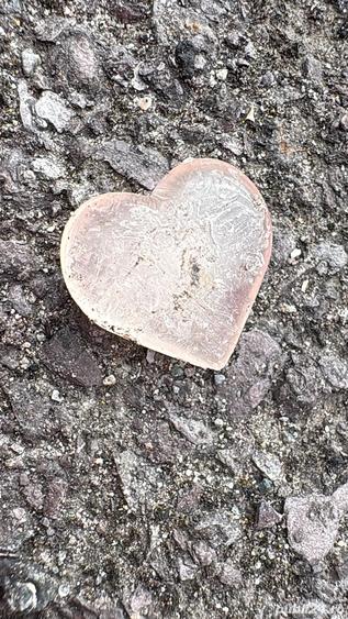 inchiriez 1 camera la casa 9 km de tg jiu - 1