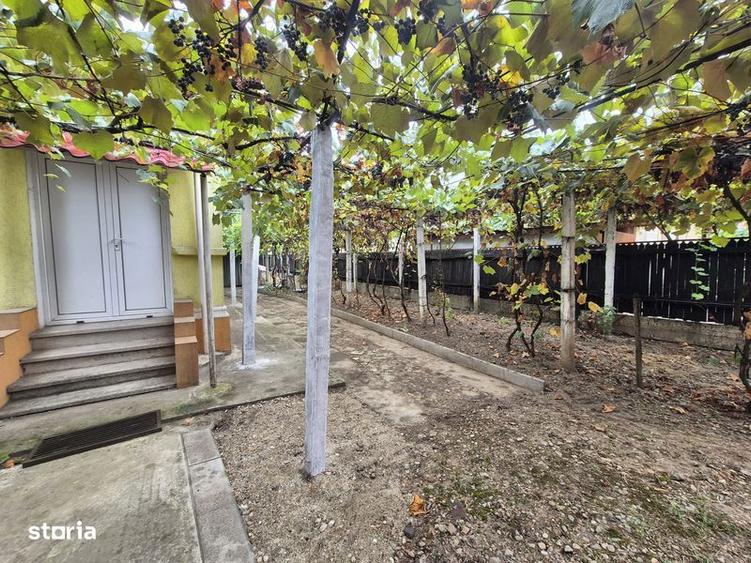Casa individuala cu teren generos Aleea Motrului - 2