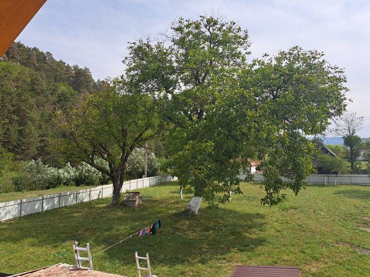 2 Case de vanzare - 4