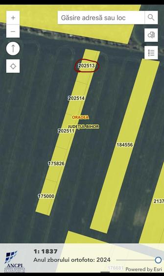 Vand teren intravilan in Cartierul Grigorescu Oradea - 5