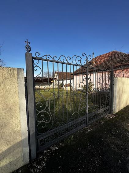 Casa de vanzare in Suplacu de Tinca 1 ha teren - 7