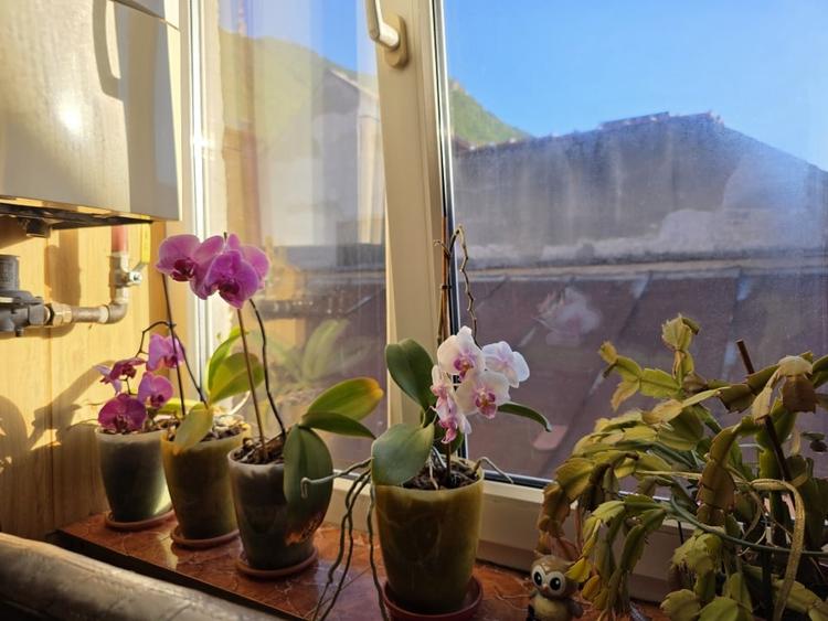 Apartament cu 3 camere, Postavarului, Centrul Istoric - 6