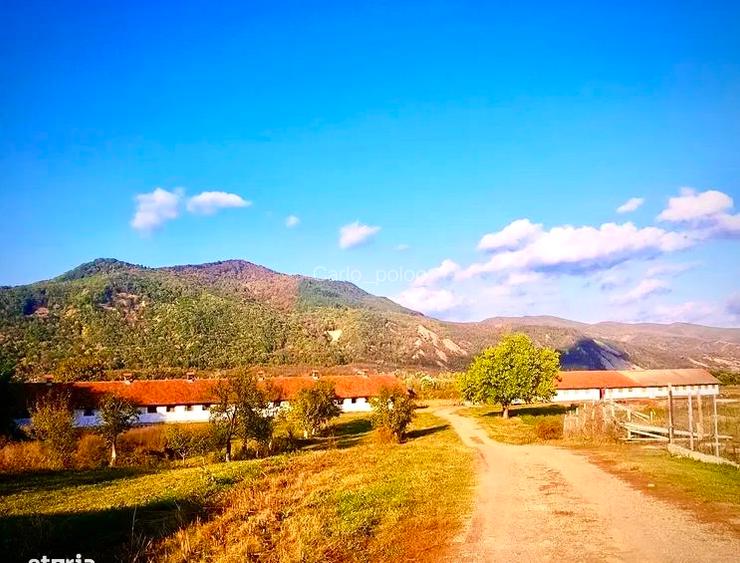 Vand teren intravilan in Cislau jud Buzau cu grajduri Vand teren intravilan in Cislau jud Buzau cu grajduri