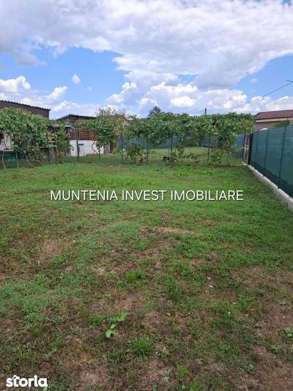 Gospodarie de vanzare Bro?teni | 14 km de Pite?ti | Teren 596 mp. - 11