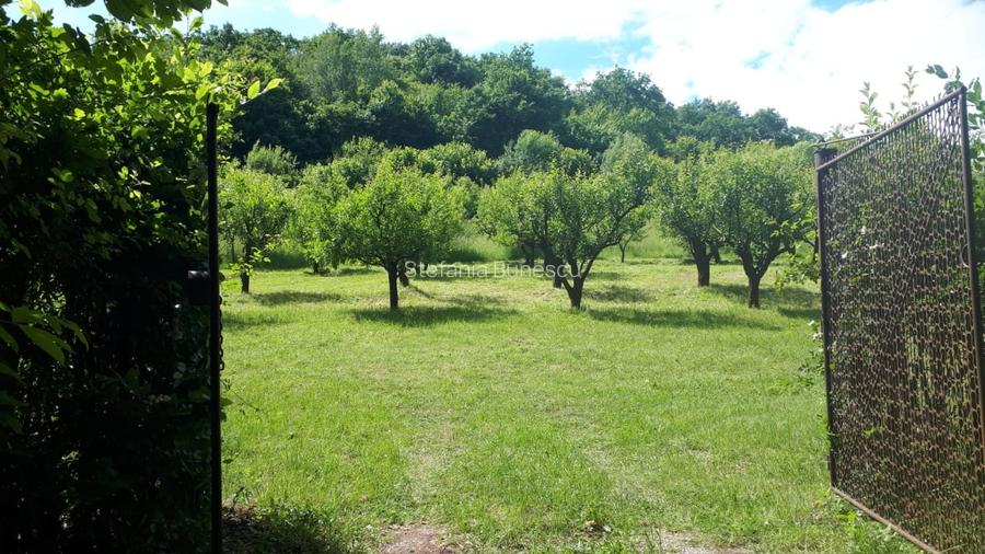 Teren extravilan  de vanzare | 4288 mp | in Gusterita