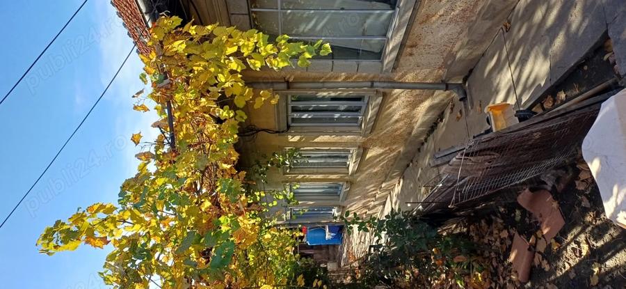 Casa Craiova str Raului 146 - 8