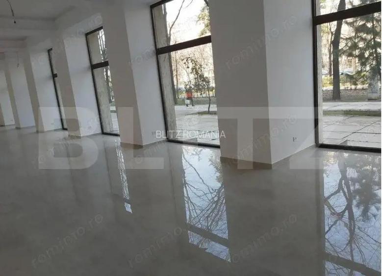 Spatiu comercial stradal, 230 mp, vad pietonal, zona Unirii Spatiu comercial stradal, 230 mp, vad pietonal, zona Unirii