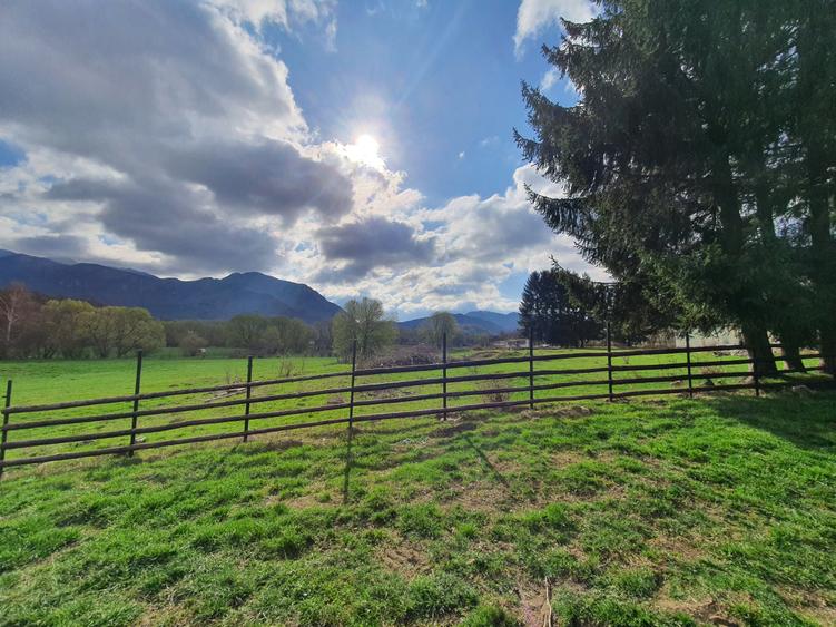 Teren Rasnov – Predeal zona de pensiuni - 7