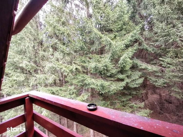Apartament tip duplex in Sinaia - 6