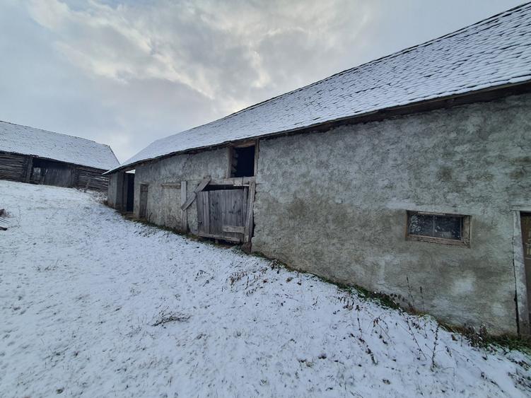 Casa singur în curte - 5