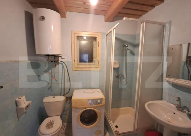 Cabana in colibita - 8