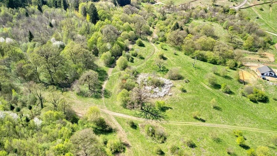 Teren Intravilan parcele 1000mp - 11