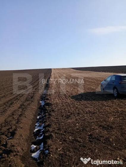 Teren extravilan, 42 ari, Liteni Moara - Suceava (Suceava)