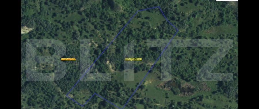 Teren extravilan 1,5 h pentru investitie - 6