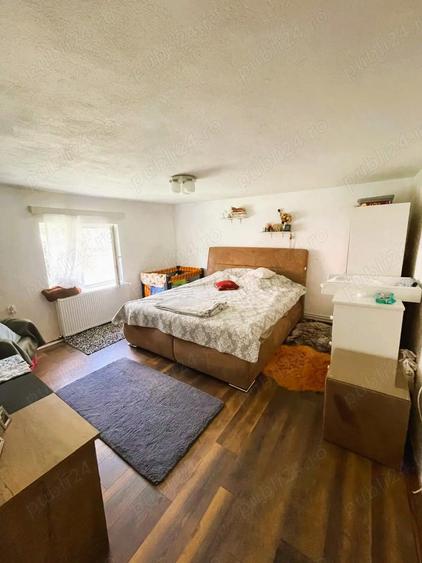 Proprietate deosebita in Rachitova 5000 mp teren, doua case renovate - 2