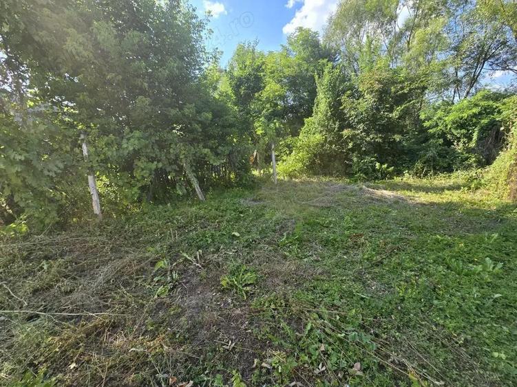 Re?i?a, casa cu teren 700 mp, pe malul Barzavei in cartierul Calnic - 2