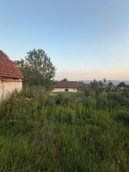Casa si teren la tara - 5