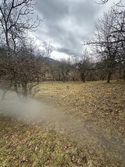 Teren de vanzare intravilan  Bran - 7