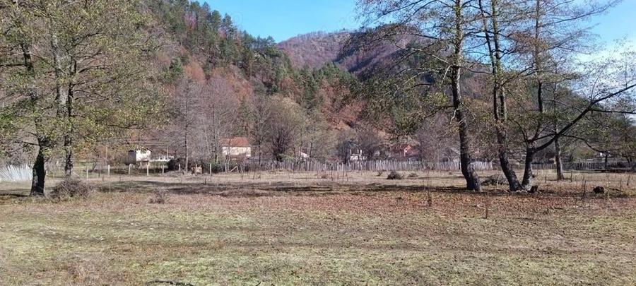 Vand teren intravilan Brezoi - 9