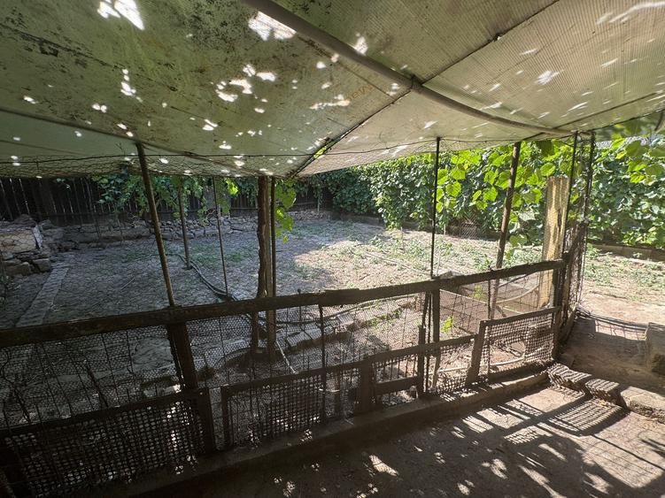 De Vânzare – Teren Intravilan, Tomis 3(AXV14) - 6