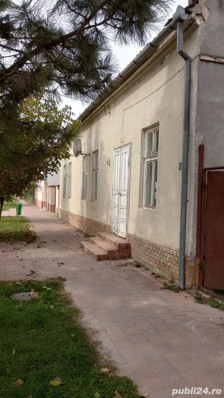 Casa de vanzare in Beba-Veche - 1