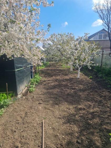 Casa batraneasca - cartierul CFR - 7