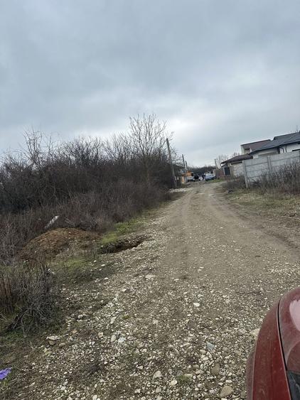 Vand teren intravilan Dragomiresti Vale 900 mp - 3