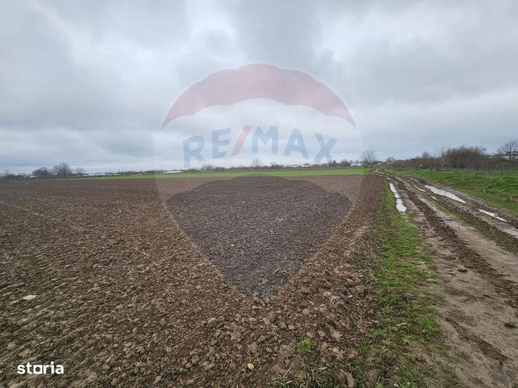 Teren de vanzare, intravilan, Adunatii-Copaceni Strada Scolii Primarie - 2