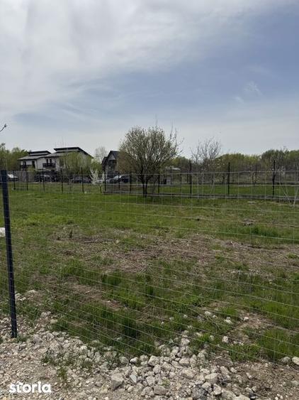 Teren Domnesti 840mp - 7