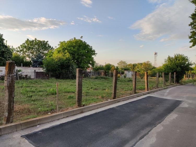 Teren Straulesti 500mp - 12