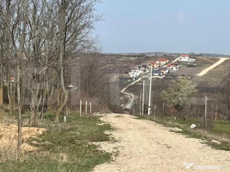 Teren intravilan de vanzare, 9783 mp, Paleu zona Iacului - 5