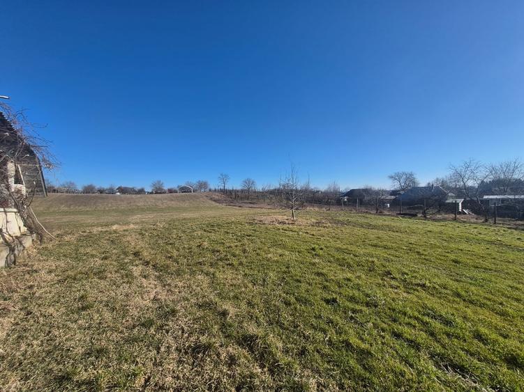 Casa si teren com Zanesti - 4