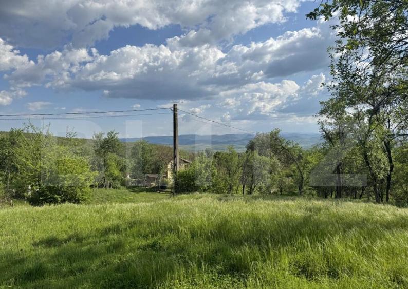 Teren intravilan de vanzare, 15080 mp, zona Tatara?ti - 2