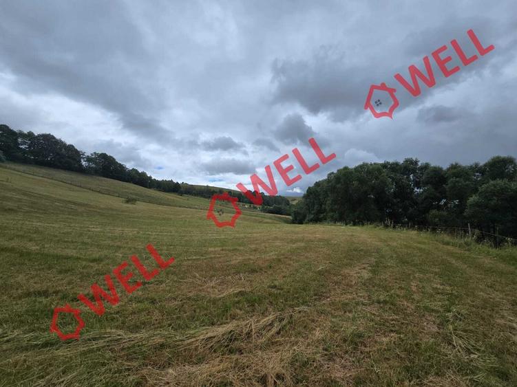 De vânzare teren extravilan loc. Sărămaș, com. Barcani - 4