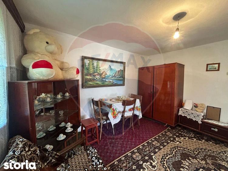 Casa bunicilor de vanzare. - 12