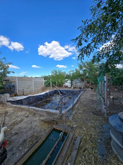 Parta- casa parter-719 mp - 11