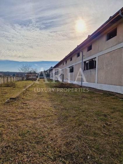 VANZARE VILA | HALA IN VLADICEASCA | SNAGOV | 10.500 MP TEREN - 16