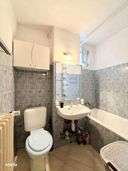 Apartament in Fizicienilor - Camil Ressu - 13