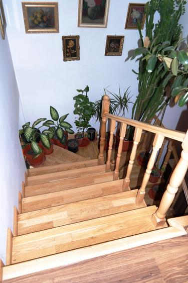 Nicolae Titulescu,calea Grivitei,semistradal,zona superba! - 9