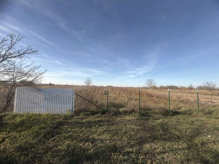 Teren de vanzare Micula - 11