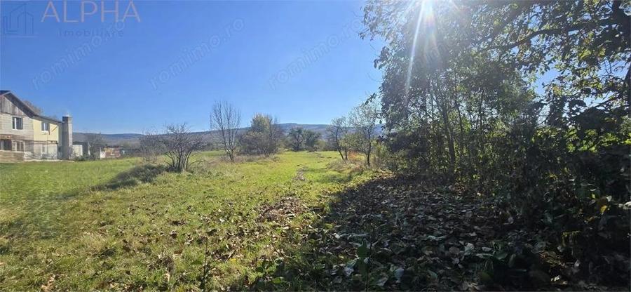 Casa saseasca autentica, Livezile Jud Bistrita-Nasaud - 12