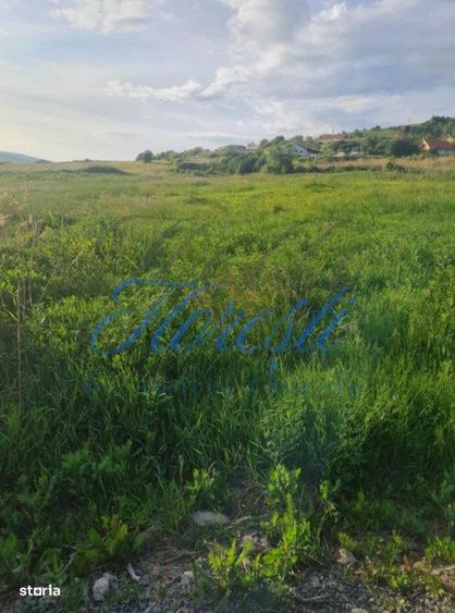 Teren intavilan 600mp - Popesti, Cluj! - 1