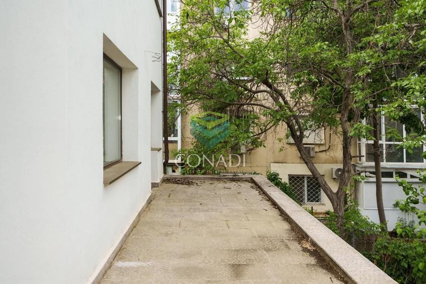 Vila 7 camere Primaverii - 1