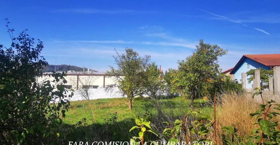 VLADESTI - TEREN 1174 MP - 6