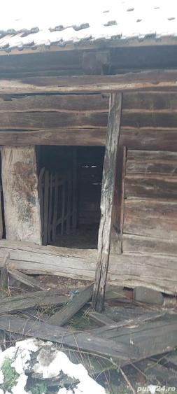 Pivni?a tradi?ionala veche de peste 100 ani - 3