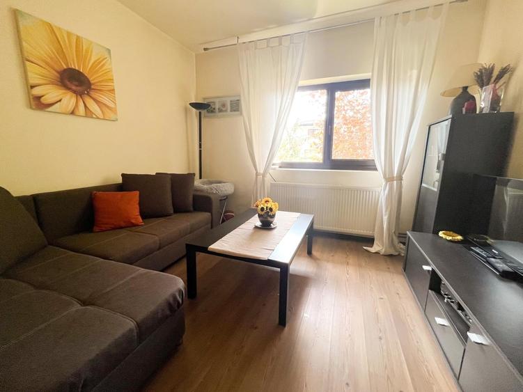 Casa superba langa padurea Baneasa, liceul Francez, metrou Paris, curte proprie - 10