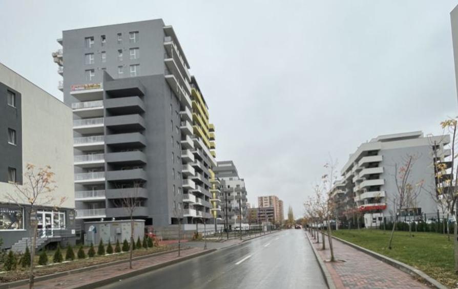 Theodor Pallady, teren 5000 mp - 1