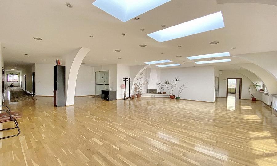 Central - Suprafata Generoasa - 1